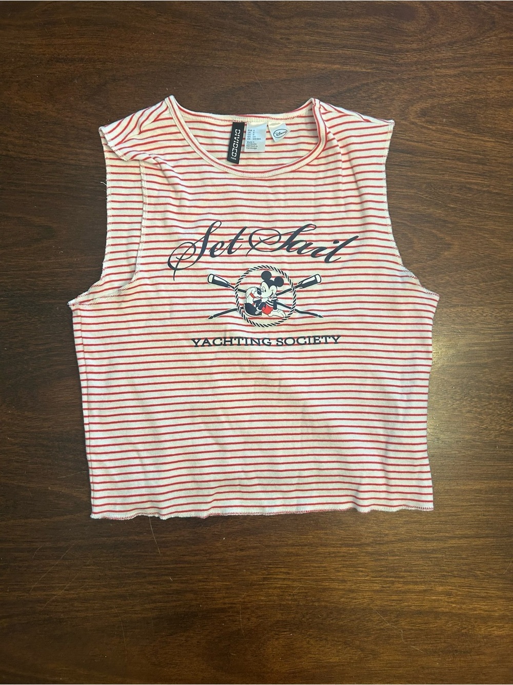 H&M Red and White Striped Graphic Crop Tank